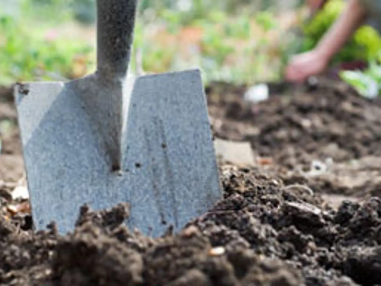 Home Owners | Township of Woolwich