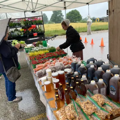 Large array of fresh produce and maple syrup on a table